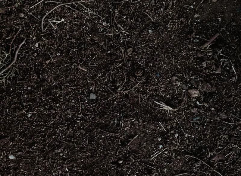 Rich healthy dark soil after conditioning treatment