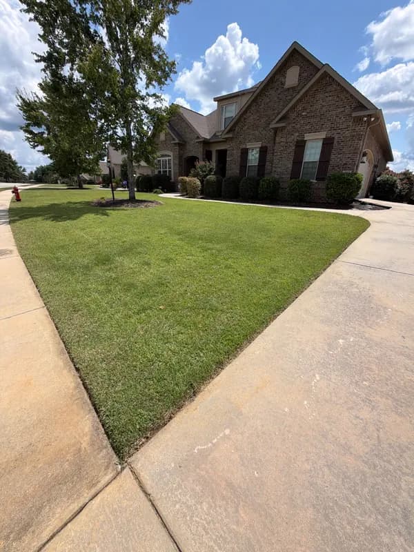 Brick two-story home with green front lawn, shrubs, and a shade tree beside a driveway