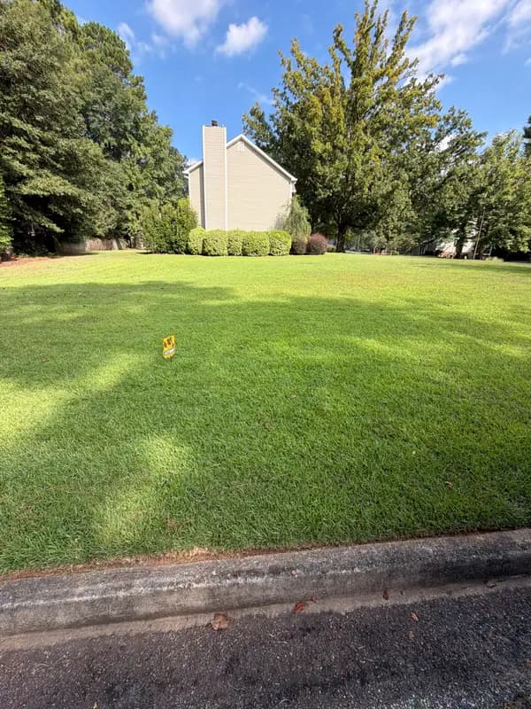 Wide green lawn leading up to a house partially screened by shrubs and large trees under blue sky
