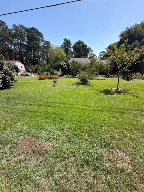 Wide view of a green lawn with young trees, flower beds, and a house in the background under a clear sky