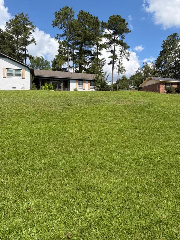 Green sloped lawn leading up to a single-story brick home under tall pine trees and blue sky