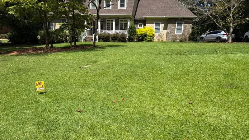 Green lawn in front of a two-story house with shrubs and trees, sunny day