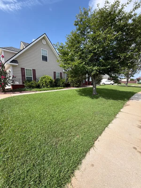 Well-maintained green lawn beside a walkway with a tree and two-story house in background