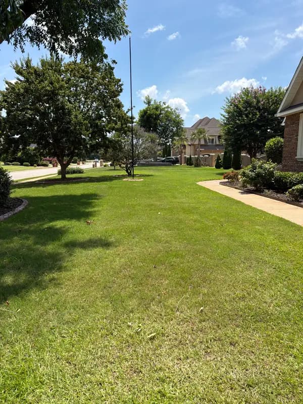 Wide view of a well-maintained green lawn with trees, a sidewalk, and a large house in the background