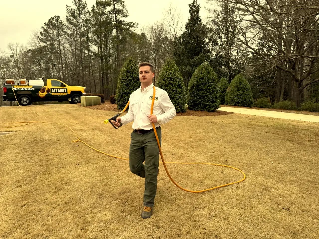 Lawn care professional inspecting dormant Bermuda grass up close