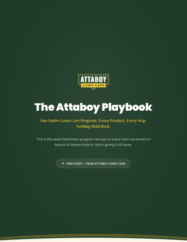 The Attaboy Playbook — cover page