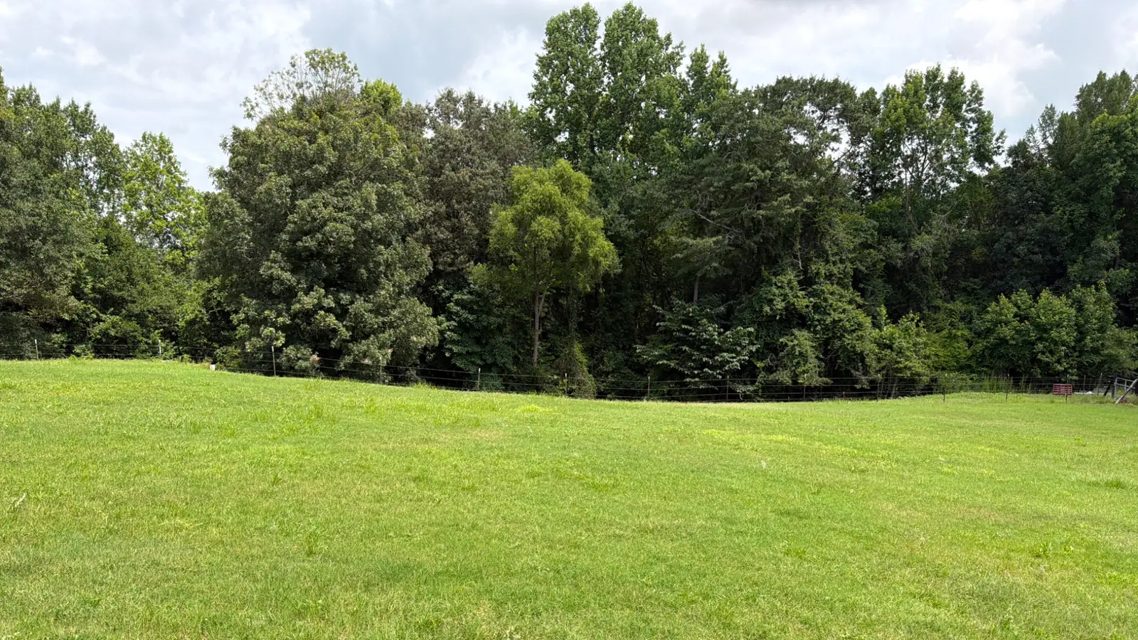 Wide, even green lawn at an Attaboy Lawn Care customer's home in Middle Georgia