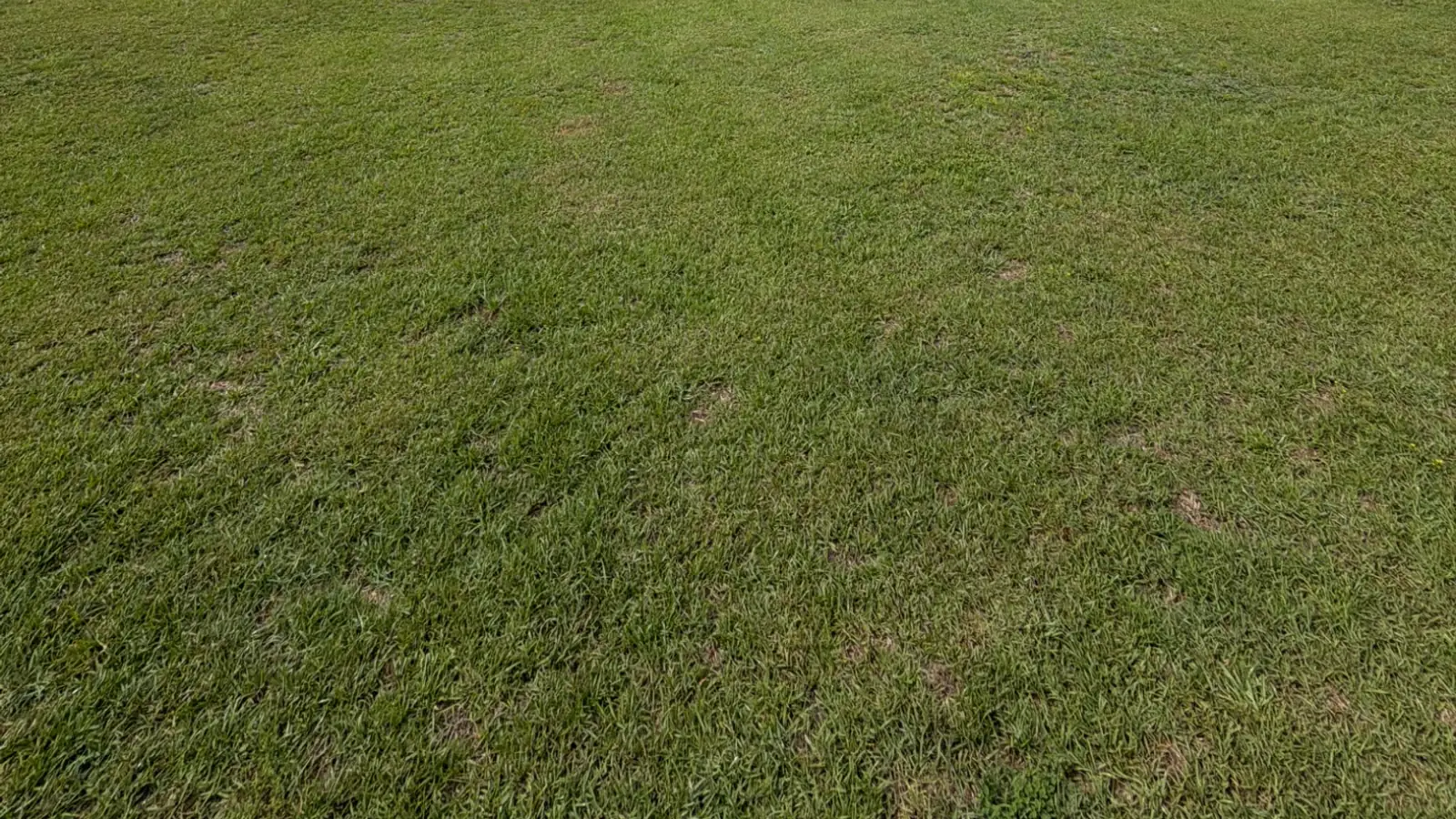 Thick green lawn in front of an Attaboy Lawn Care customer's home in Middle Georgia