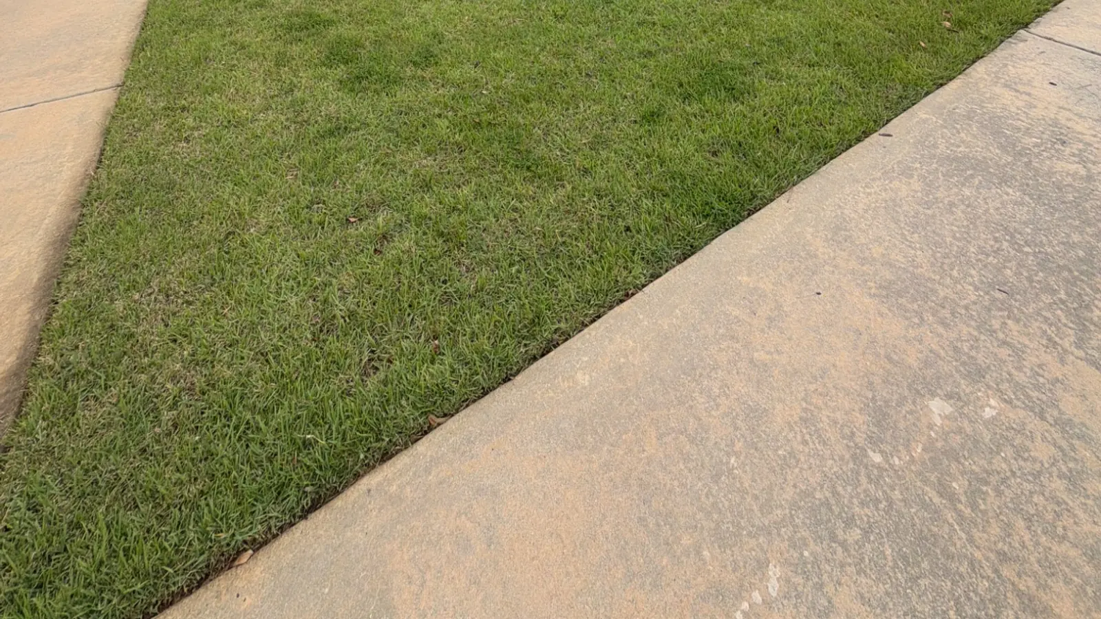 Thick green lawn in front of an Attaboy Lawn Care customer's home in Middle Georgia