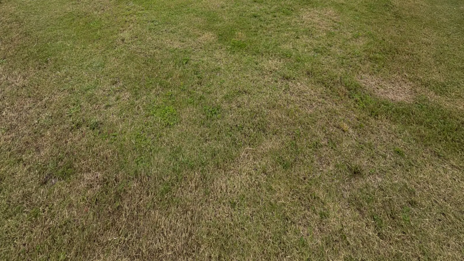 Thick green lawn in front of an Attaboy Lawn Care customer's home in Middle Georgia